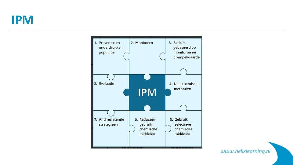 IPM 
