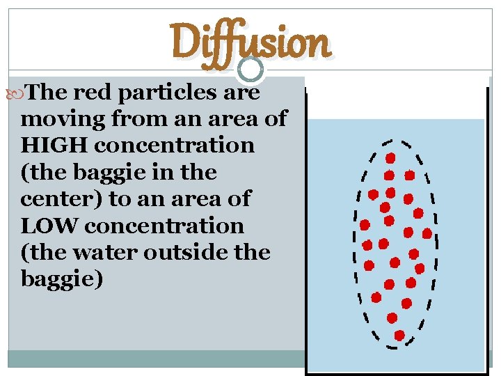 Diffusion The red particles are moving from an area of HIGH concentration (the baggie