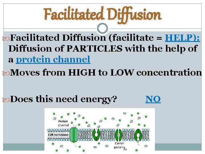 Facilitated Diffusion (facilitate = HELP): Diffusion of PARTICLES with the help of a protein