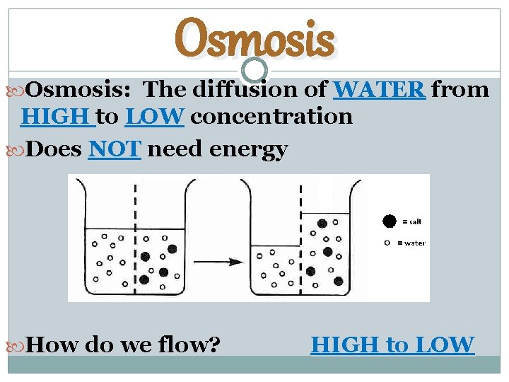 Osmosis Osmosis: The diffusion of WATER from HIGH to LOW concentration Does NOT need
