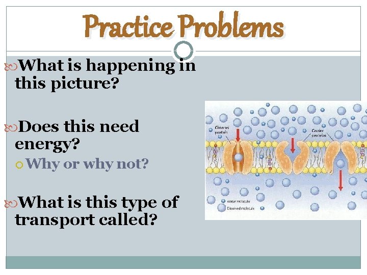 Practice Problems What is happening in this picture? Does this need energy? Why or