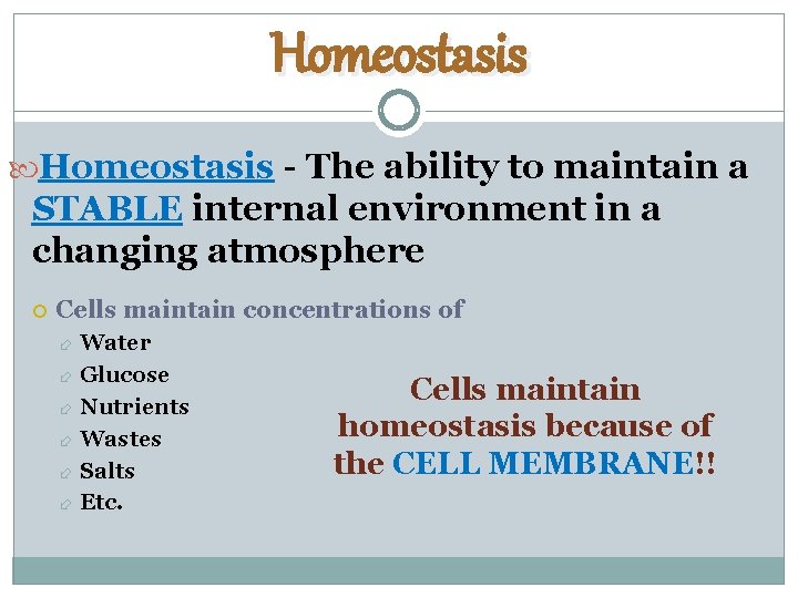 Homeostasis - The ability to maintain a STABLE internal environment in a changing atmosphere