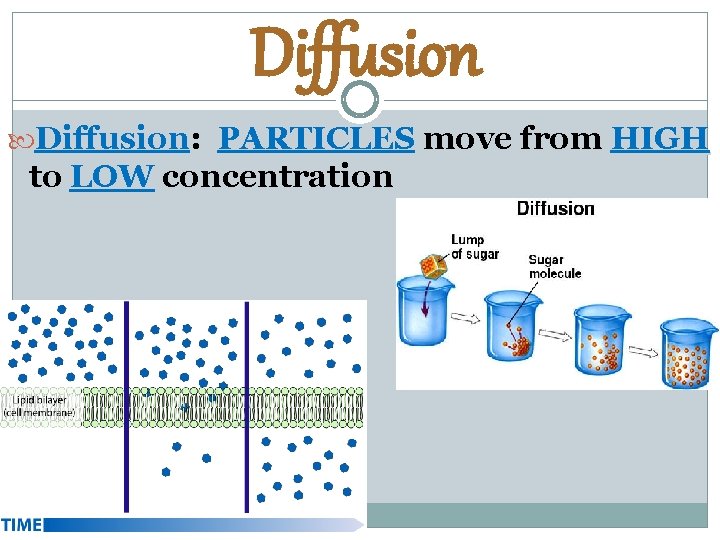 Diffusion: PARTICLES move from HIGH to LOW concentration 