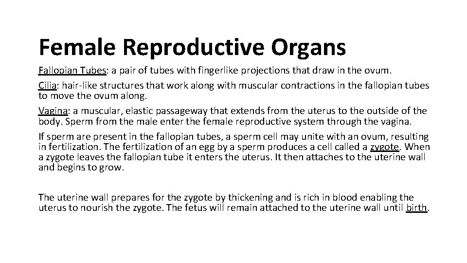 Female Reproductive Organs Fallopian Tubes: a pair of tubes with fingerlike projections that draw