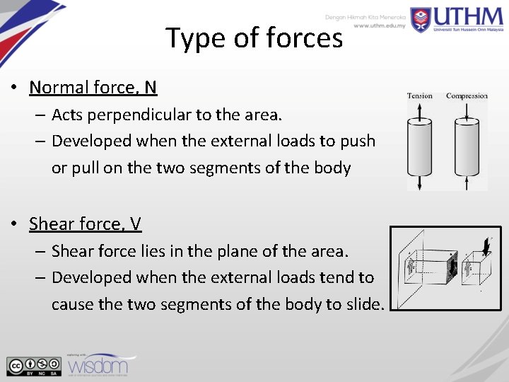 Type of forces • Normal force, N – Acts perpendicular to the area. –