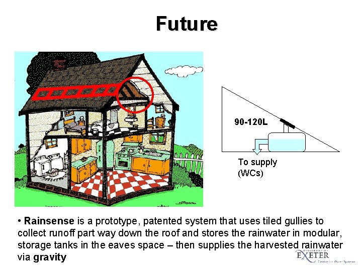 Future 90 -120 L To supply (WCs) • Rainsense is a prototype, patented system