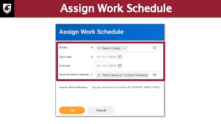 Assign Work Schedule Screenshot of the assign work schedule screen. The following fields are