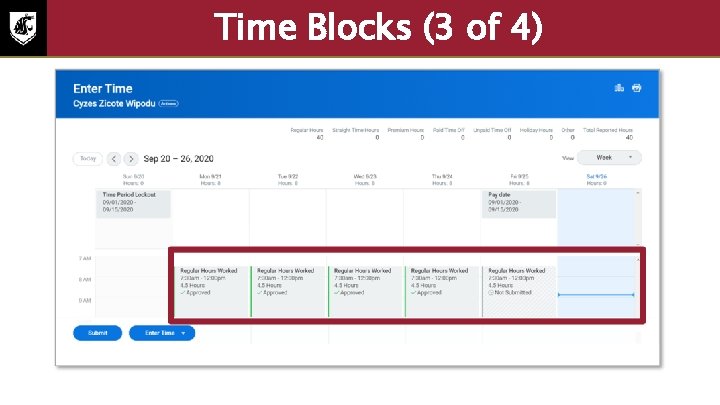 Time Blocks (3 of 4) The submit time screenshot with the total for the