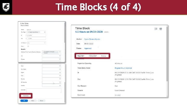 Time Blocks (4 of 4) • Screenshot of the Time block. Each time block