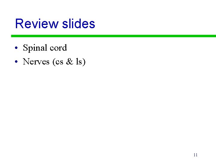 Review slides • Spinal cord • Nerves (cs & ls) 11 