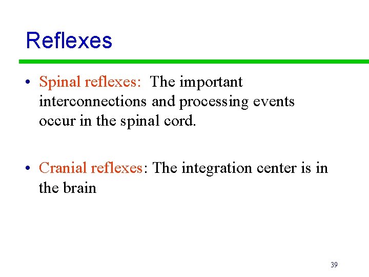 Reflexes • Spinal reflexes: The important interconnections and processing events occur in the spinal