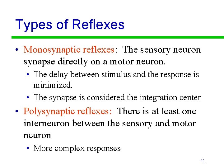 Types of Reflexes • Monosynaptic reflexes: The sensory neuron synapse directly on a motor