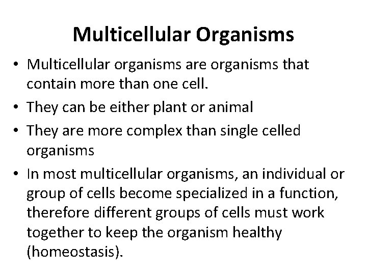 Multicellular Organisms • Multicellular organisms are organisms that contain more than one cell. •