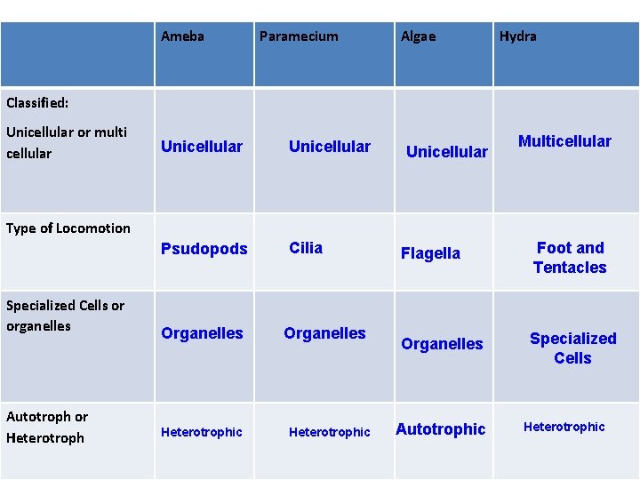 Ameba Paramecium Algae Hydra Classified: Unicellular or multi cellular Unicellular Psudopods Cilia Unicellular Multicellular
