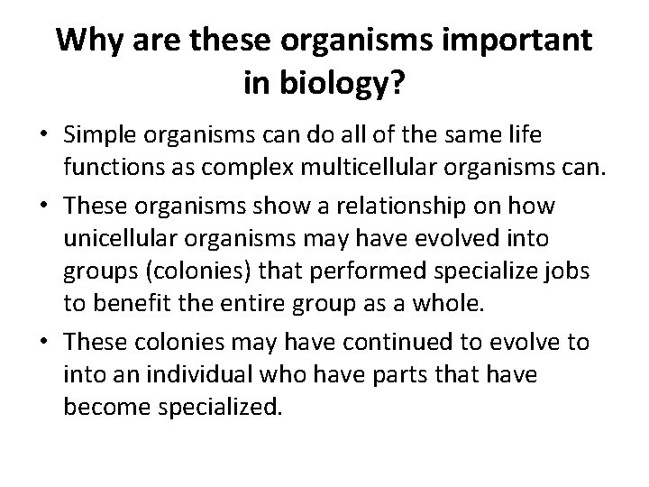 Why are these organisms important in biology? • Simple organisms can do all of