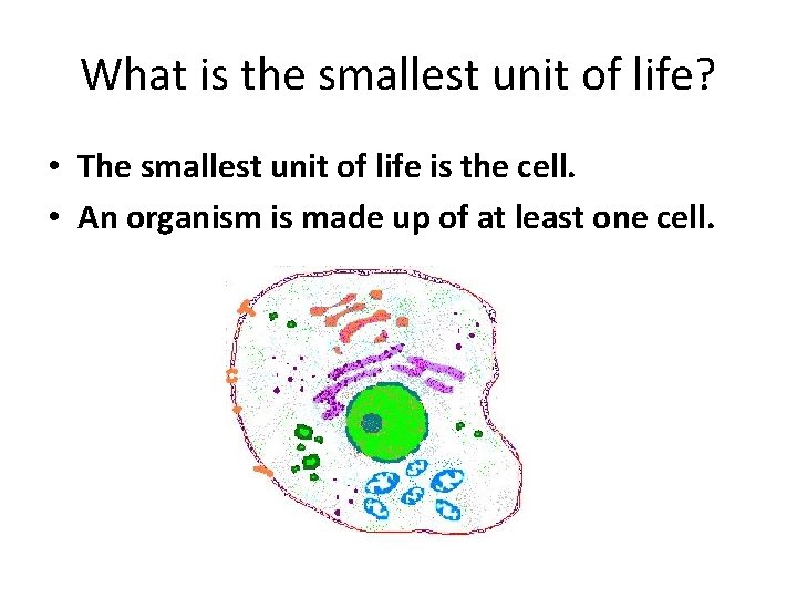 What is the smallest unit of life? • The smallest unit of life is