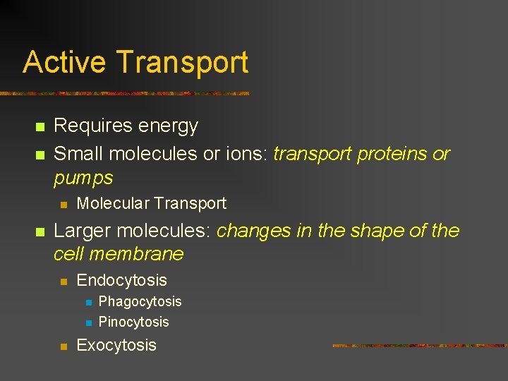 Active Transport n n Requires energy Small molecules or ions: transport proteins or pumps
