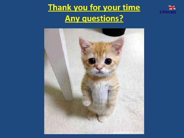 Thank you for your time Any questions? 
