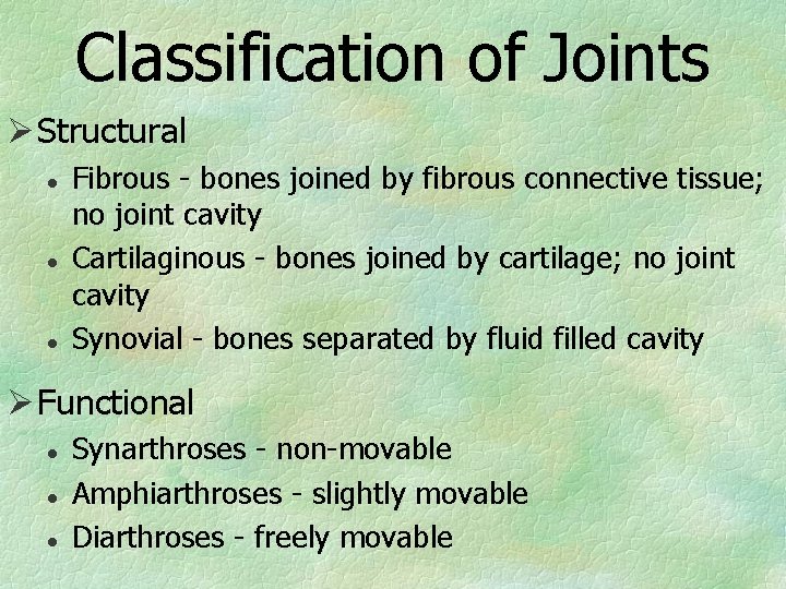 Classification of Joints Ø Structural l Fibrous - bones joined by fibrous connective tissue;