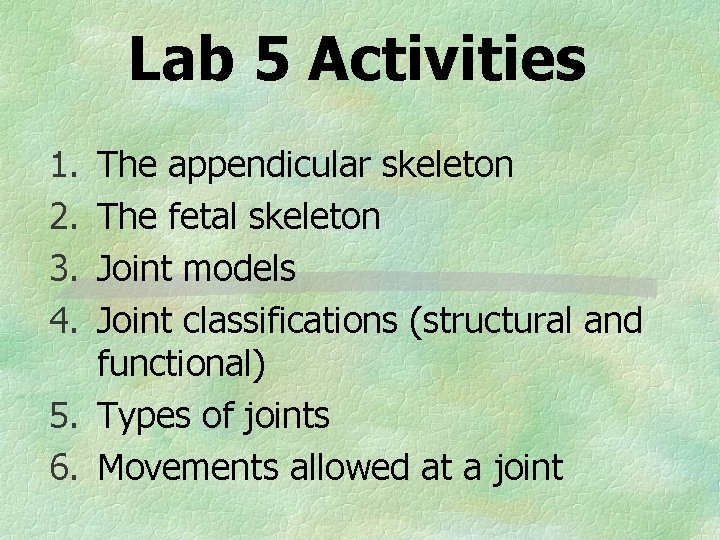 Lab 5 Activities 1. 2. 3. 4. The appendicular skeleton The fetal skeleton Joint
