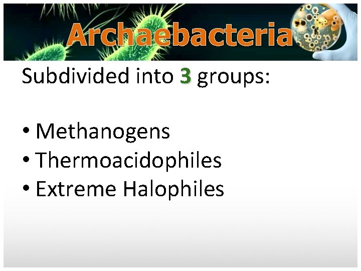 Archaebacteria Subdivided into 3 groups: • Methanogens • Thermoacidophiles • Extreme Halophiles 