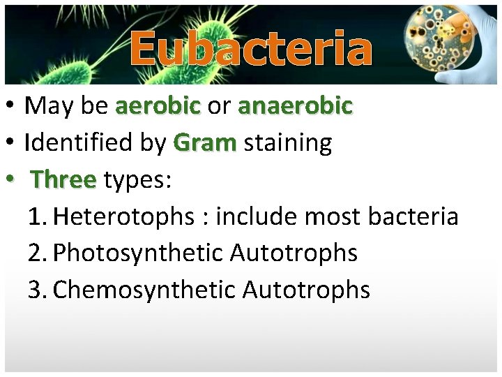 Eubacteria • May be aerobic or anaerobic • Identified by Gram staining • Three