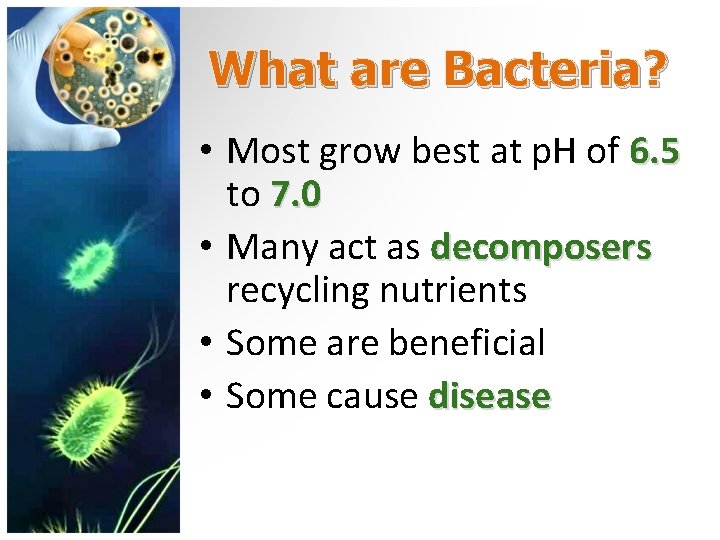 What are Bacteria? • Most grow best at p. H of 6. 5 to