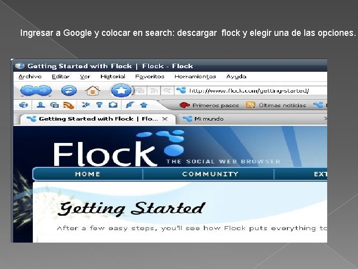 Ingresar a Google y colocar en search: descargar flock y elegir una de las