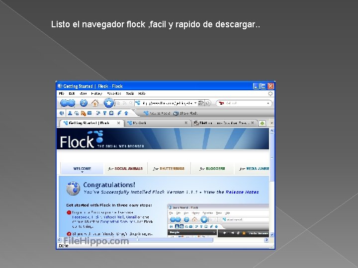 Listo el navegador flock , facil y rapido de descargar. . 