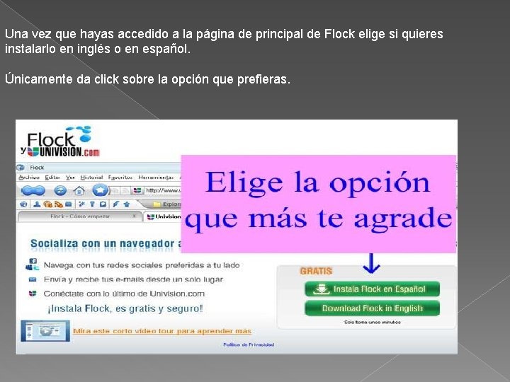 Una vez que hayas accedido a la página de principal de Flock elige si