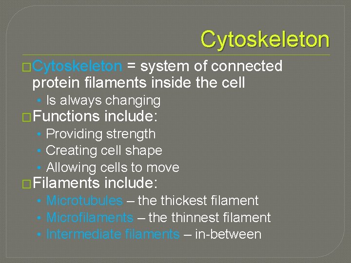 Cytoskeleton �Cytoskeleton = system of connected protein filaments inside the cell • Is always