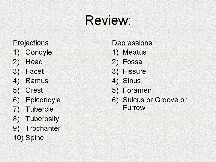 Review: Projections 1) Condyle 2) Head 3) Facet 4) Ramus 5) Crest 6) Epicondyle