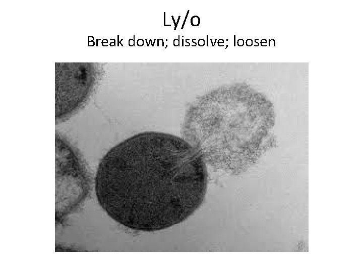 Ly/o Break down; dissolve; loosen 