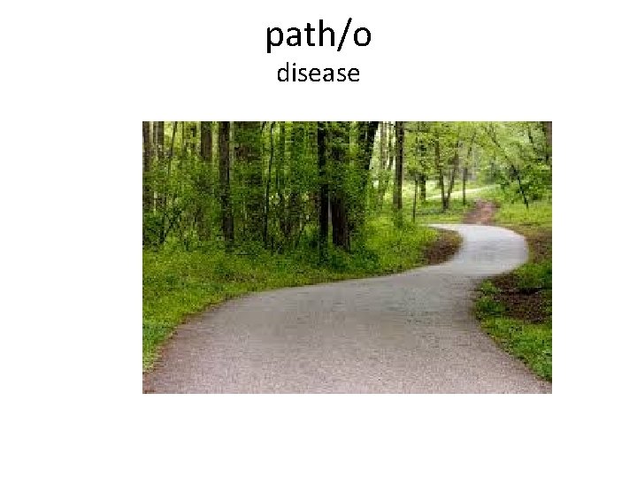 path/o disease 