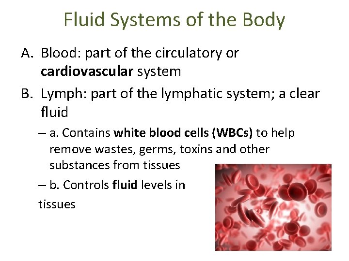 Fluid Systems of the Body A. Blood: part of the circulatory or cardiovascular system