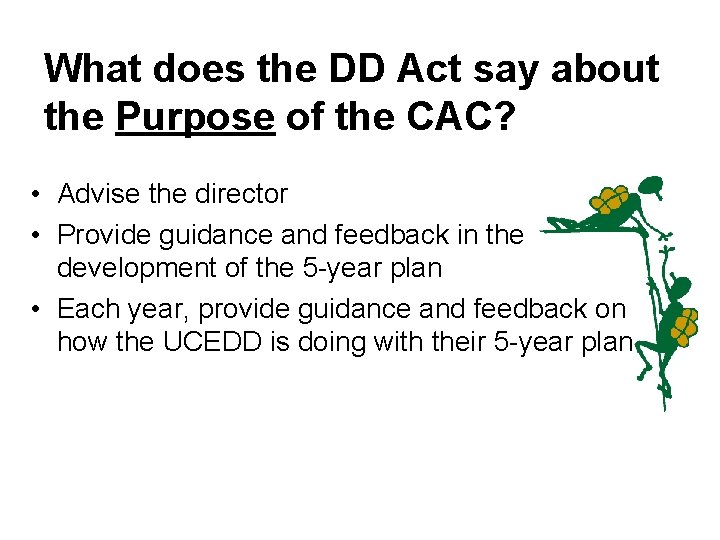What does the DD Act say about the Purpose of the CAC? • Advise