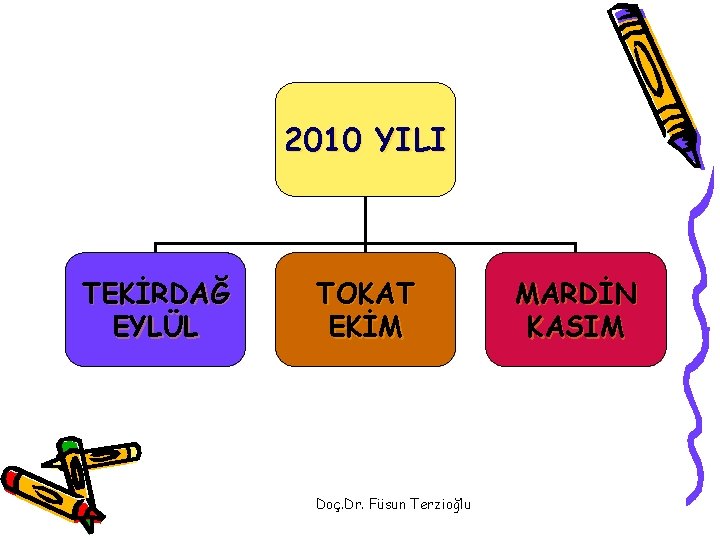 2010 YILI TEKİRDAĞ EYLÜL TOKAT EKİM Doç. Dr. Füsun Terzioğlu MARDİN KASIM 