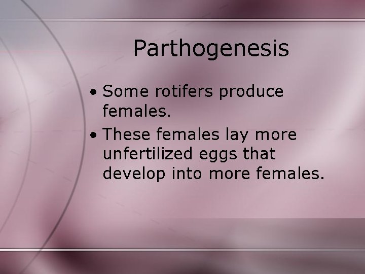 Parthogenesis • Some rotifers produce females. • These females lay more unfertilized eggs that Parthogenesis • Some rotifers produce females. • These females lay more unfertilized eggs that