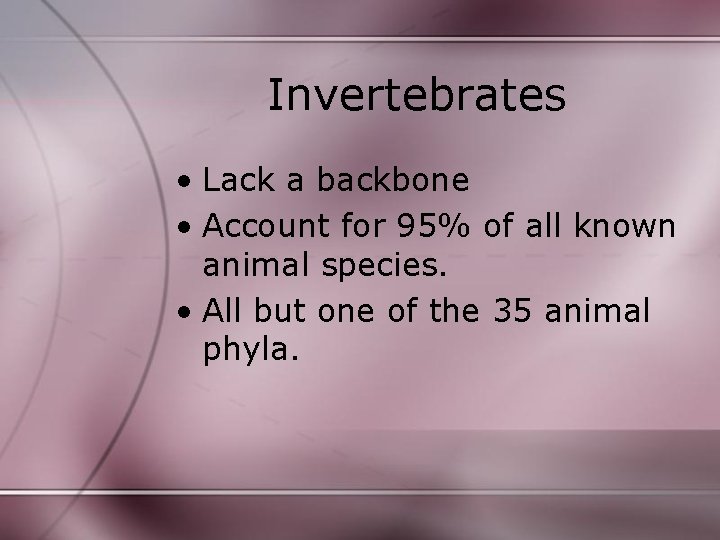 Invertebrates • Lack a backbone • Account for 95% of all known animal species. Invertebrates • Lack a backbone • Account for 95% of all known animal species.