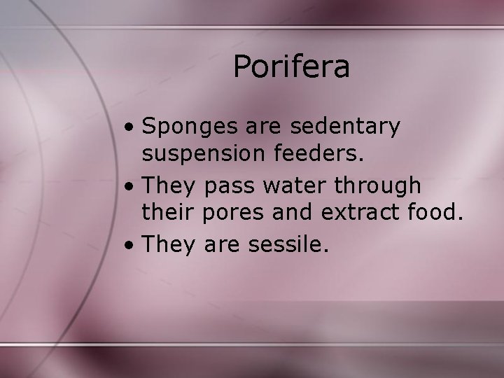 Porifera • Sponges are sedentary suspension feeders. • They pass water through their pores Porifera • Sponges are sedentary suspension feeders. • They pass water through their pores