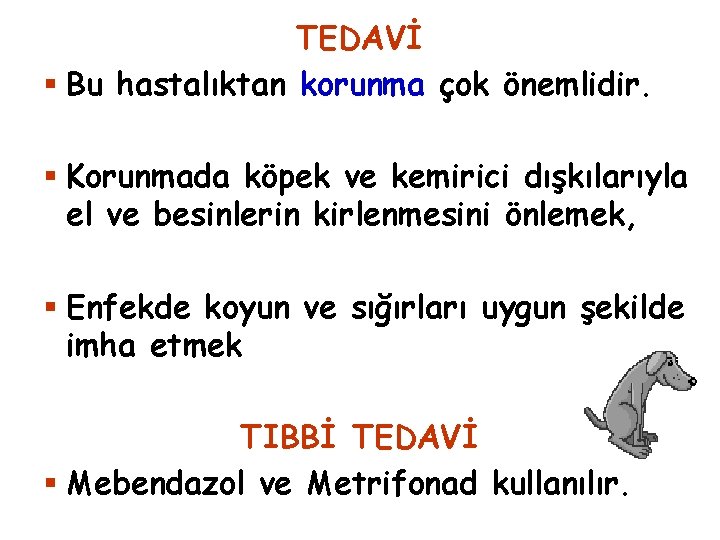 TEDAVİ § Bu hastalıktan korunma çok önemlidir. § Korunmada köpek ve kemirici dışkılarıyla el