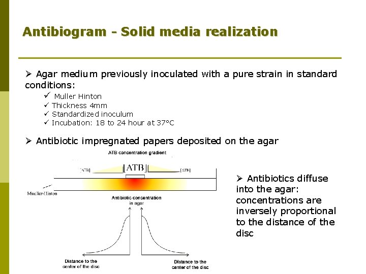 Antibiogram - Solid media realization Ø Agar medium previously inoculated with a pure strain