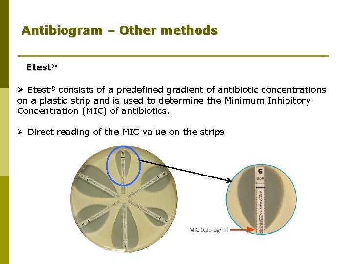 Antibiogram – Other methods Etest® Ø Etest® consists of a predefined gradient of antibiotic