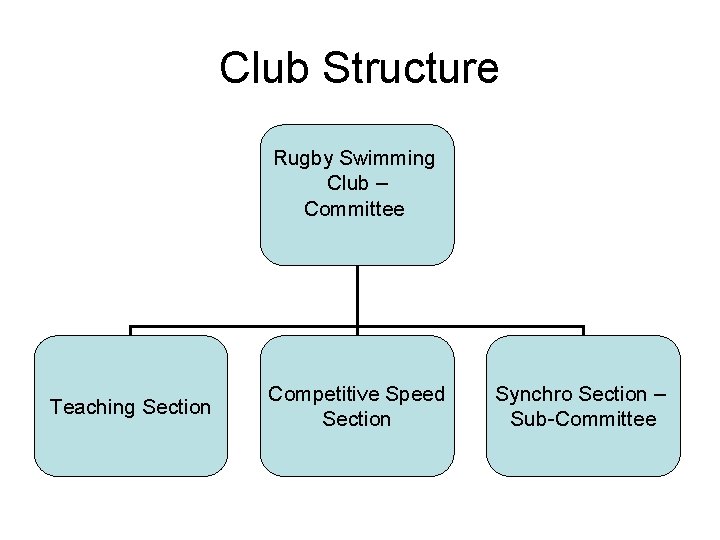 Club Structure Rugby Swimming Club – Committee Teaching Section Competitive Speed Section Synchro Section