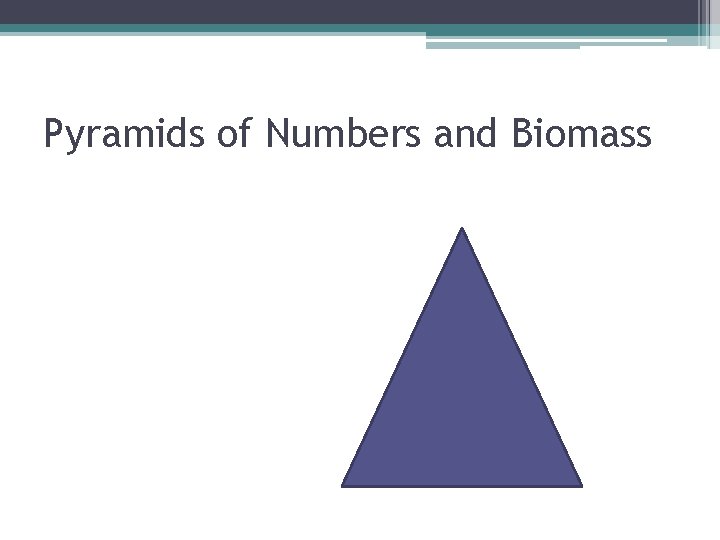 Pyramids of Numbers and Biomass 