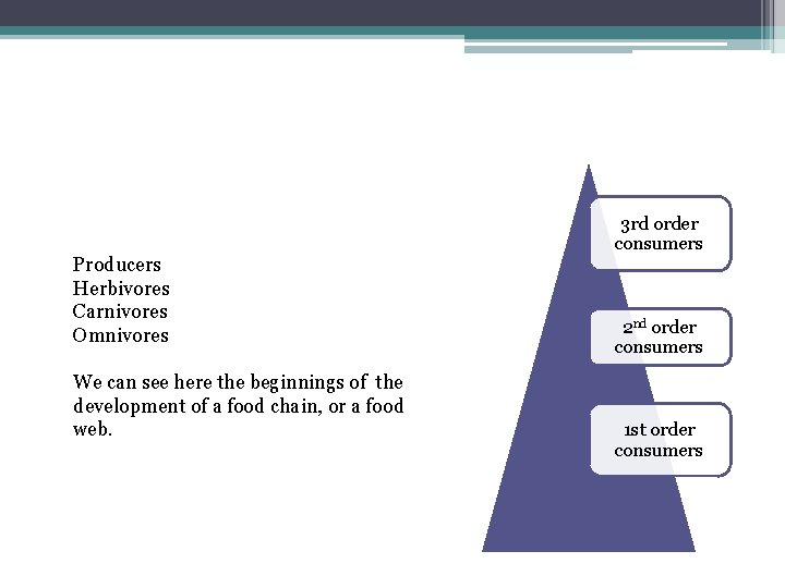 Producers Herbivores Carnivores Omnivores We can see here the beginnings of the development of