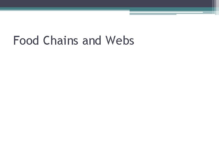 Food Chains and Webs 