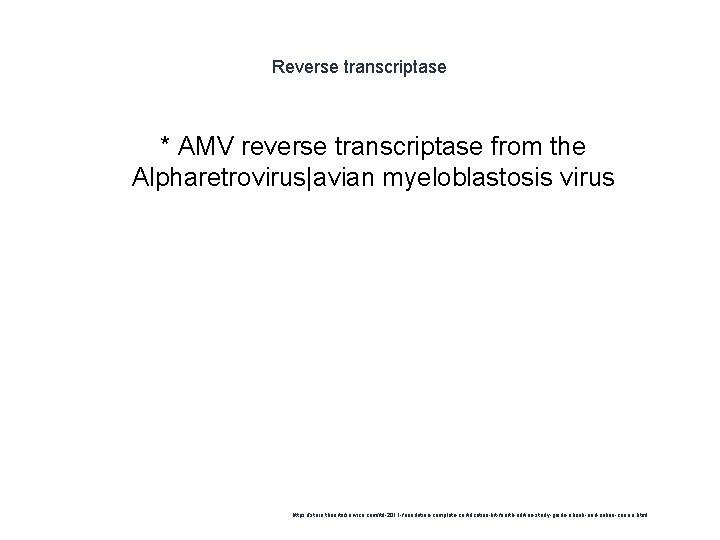 Reverse transcriptase * AMV reverse transcriptase from the Alpharetrovirus|avian myeloblastosis virus 1 https: //store.