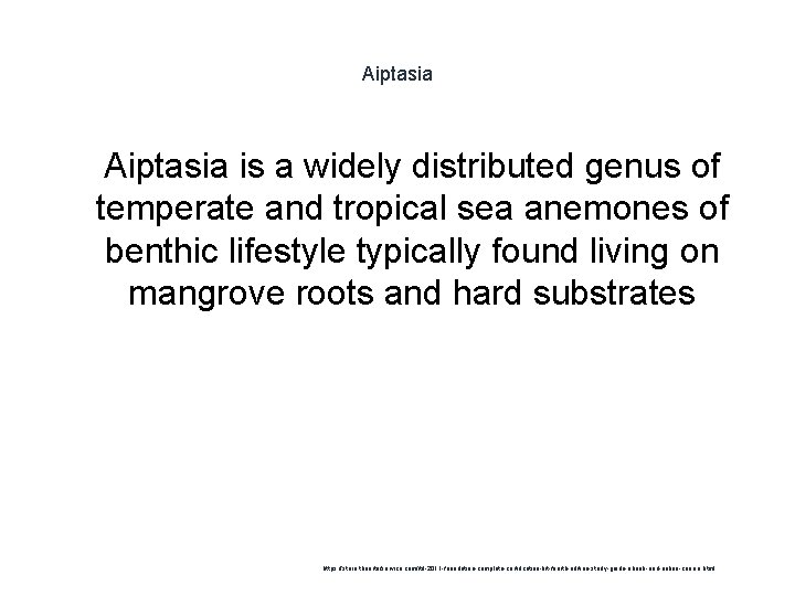 Aiptasia 1 Aiptasia is a widely distributed genus of temperate and tropical sea anemones