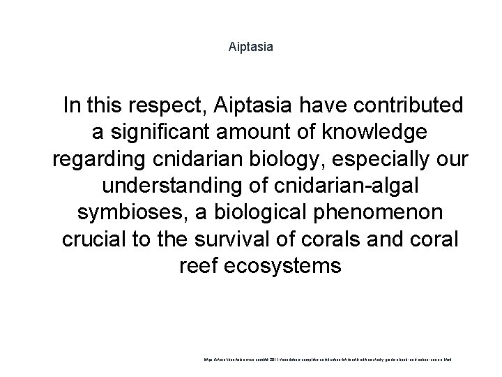 Aiptasia 1 In this respect, Aiptasia have contributed a significant amount of knowledge regarding